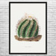 Turks Head Cactus Botanical Art Print