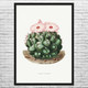 Elephants Tooth Cactus Botanical Art Print
