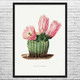 Rainbow Cactus Botanical Art Print