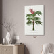 Kentia Palm Tree Botanical Art Print