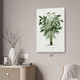 Murumuru Palm Tree Botanical Art Print