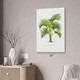 Belmore Palm Tree Botanical Art Print