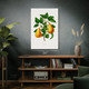 Pear Botanical Art Print