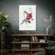 Red Bengal Rose Botanical Art Print