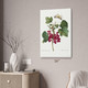 Red Currant & Butterfly Botanical Art Print