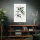 Black Olive Botanical Art Print
