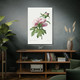 Peony Flower Botanical Art Print Peony Flower Botanical Art Print