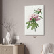 Peony Flower Botanical Art Print