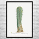 Euphorbia Officinarum Cactus Botanical Art Print Euphorbia Officinarum Cactus Botanical Art Print