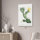 Prickly Pear Cactus Botanical Art Print Prickly Pear Cactus Botanical Art Print