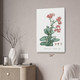 Propeller Plant Botanical Art Print