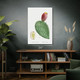 Cochenillifer Cactus Botanical Art Print