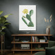 Eastern Pear Cactus Botanical Art Print