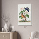 Flycatcher & Butterfly Botanical Art Print