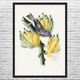 Bird on Bananas Botanical Art Print Bird on Bananas Botanical Art Print