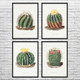Barrel Cactus Botanical Art Prints Set of 4