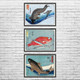 Fish Ukiyo-e Wall Art Set of 3