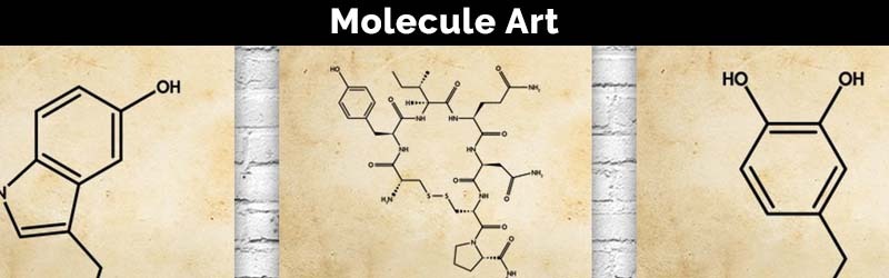 banner-molecules.jpg banner-molecules.jpg