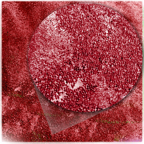 Glass Beads, Microbeads, Transparent, 0.6mm, 1-oz, Red