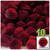 Acrylic Pom Pom, 38mm, 10-pc, Dark Red