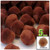 Acrylic Pom Pom, 51mm, 5-pc, Light Brown