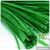 Stems, Polyester, 20-in, 10-pc, Light Green
