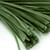 Stems, Polyester, 20-in, 25-pc, Olive Green