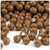 Plastic Faceted Beads, Opaque, 10mm, 500-pc, Light Brown