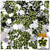 Rhinestones, Flatback, Flower, 10mm, 144-pc, Olive Green