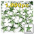 Rhinestones, Flatback, Star, 12mm, 1,000-pc, Light Green