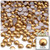 Half Dome Pearl, Plastic beads, 5mm, 144-pc, Golden Caramel Brown