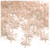 Starflake bead, SnowFlake, Cartwheel, Transparent, 18mm, 1,000-pc, Champagne