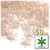 Starflake bead, SnowFlake, Cartwheel, Transparent, 18mm, 50-pc, Champagne