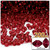 Plastic Rondelle Beads, Transparent, 6mm, 200-pc, Raspberry Red