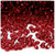 Plastic Rondelle Beads, Transparent, 6mm, 200-pc, Raspberry Red