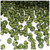 Plastic Bicone Beads, Transparent, 6mm, 1,000-pc, Olive Green