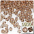 Plastic Bicone Beads, Transparent, 6mm, 1,000-pc, Honey