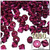 Plastic Bicone Beads, Transparent, 8mm, 1,000-pc, Fuchsia