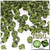 Plastic Bicone Beads, Transparent, 8mm, 1,000-pc, Olive Green