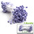 Pearl Stamen, 2-in, 3mm, 144-pc, Lavender Purple