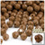 Plastic Faceted Beads, Opaque, 10mm, 1,000-pc, Light Brown