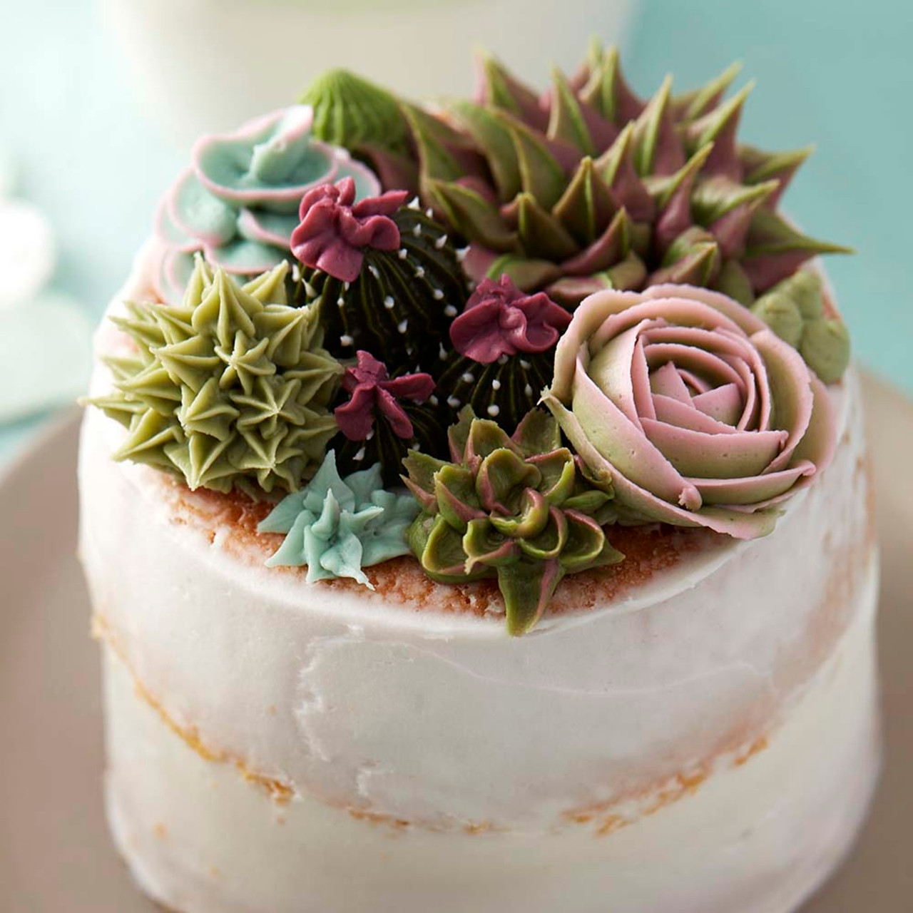 A Sweet Succulent Cake! - Kisses + Caffeine