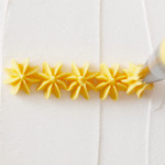 How to Pipe a Pull-Out Star