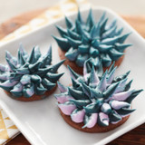 Blooming Succulent Cookies