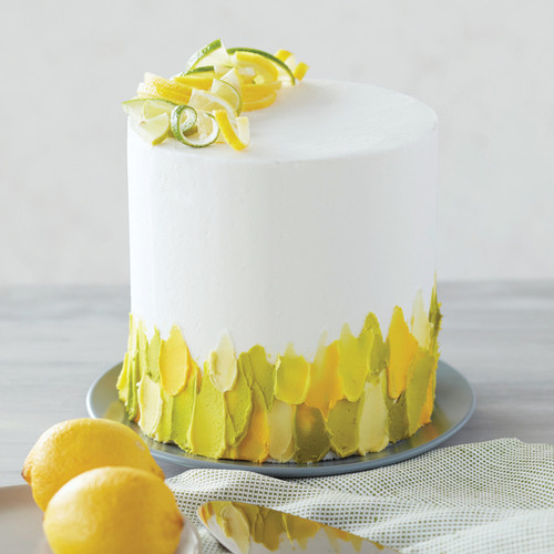 Swish of Citrus Spatula Painted Cake