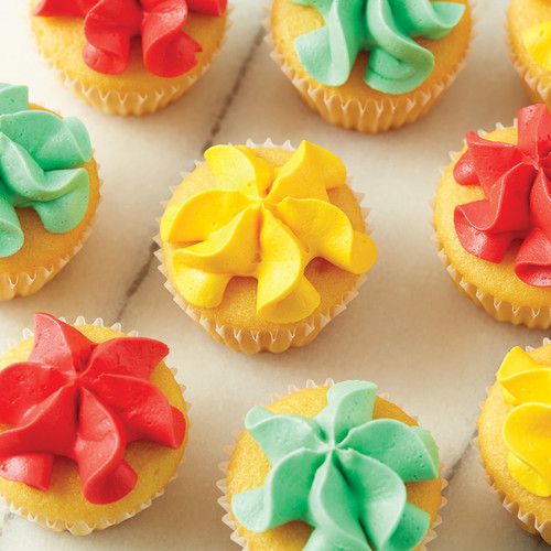 WiltonStarsProject3.jpg|1