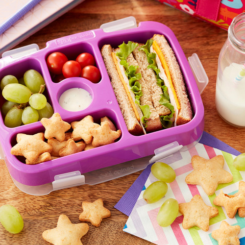 Monterey Jack Cheese Crackers Wilton