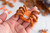 Wilton-Snyders-Ramona Cruz Peters-Spider Pretzels with Candy Melts-19-V2.jpg|8