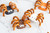 Wilton-Snyders-Ramona Cruz Peters-Spider Pretzels with Candy Melts-24.jpg|1