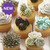 Wilton School-Course 1-Succulent Cupcakes-Lesson 3-Class-Complete-600x600-NEW Class Sticker.jpg|1